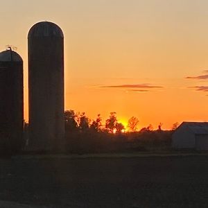 Meet your Posher, Bridget